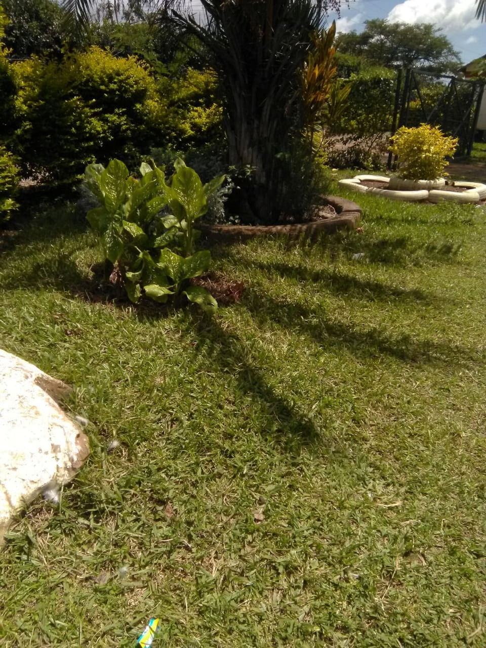 Garden 2, Victoria Court, Rarieda