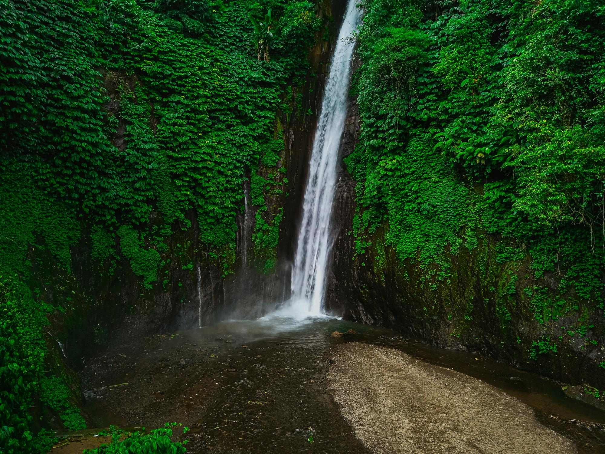 Hari 4: Kintamani & Air Terjun, Lalu Kembali untuk Oleh-oleh