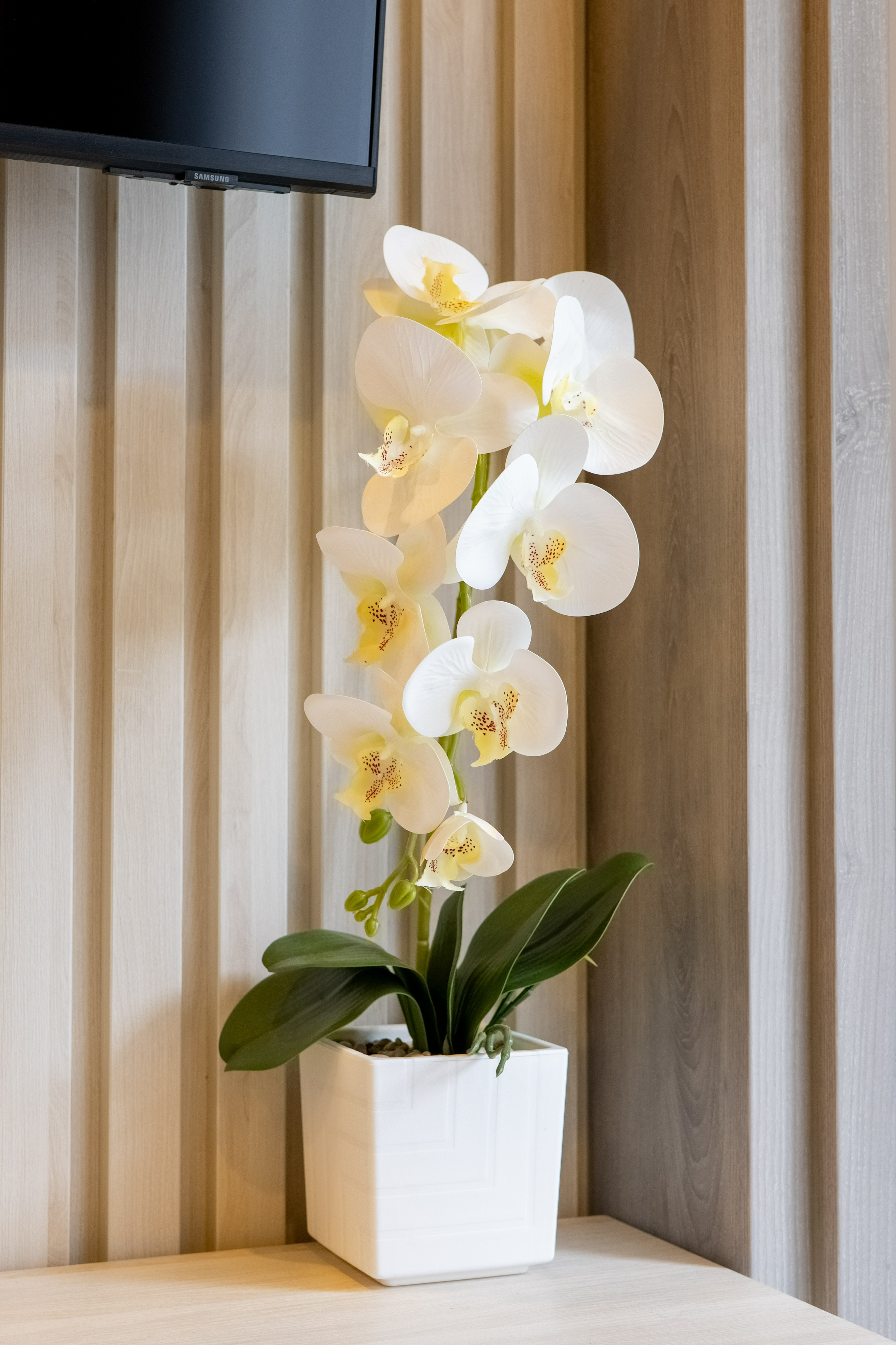 Living Room 5, Modern 1-Bedroom Apartment in Ozone Bangtao, Pulau Phuket