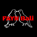 Fayn.jpg