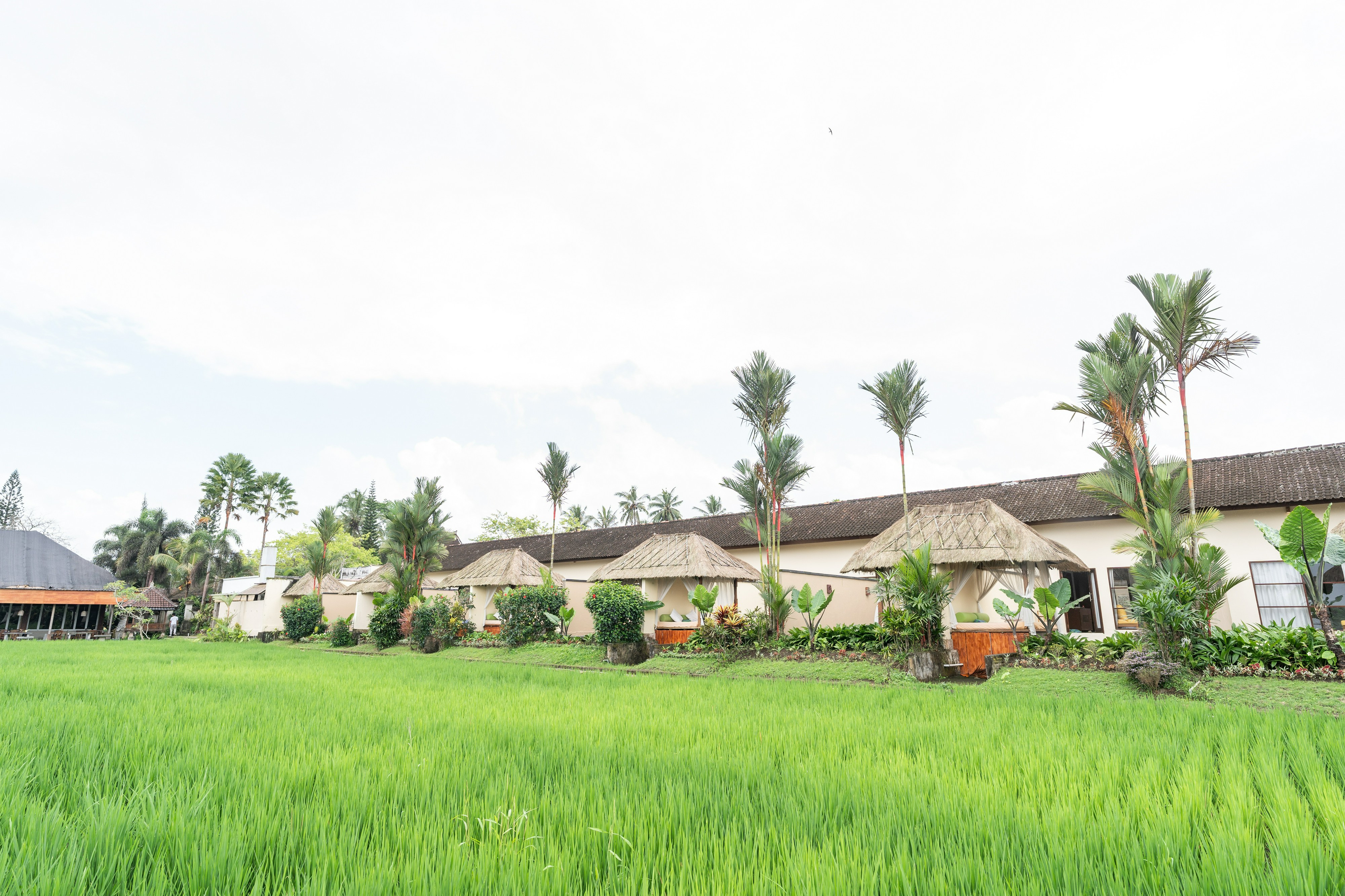 Exterior & Views 3, Alam Puisi Villa Ubud, Gianyar
