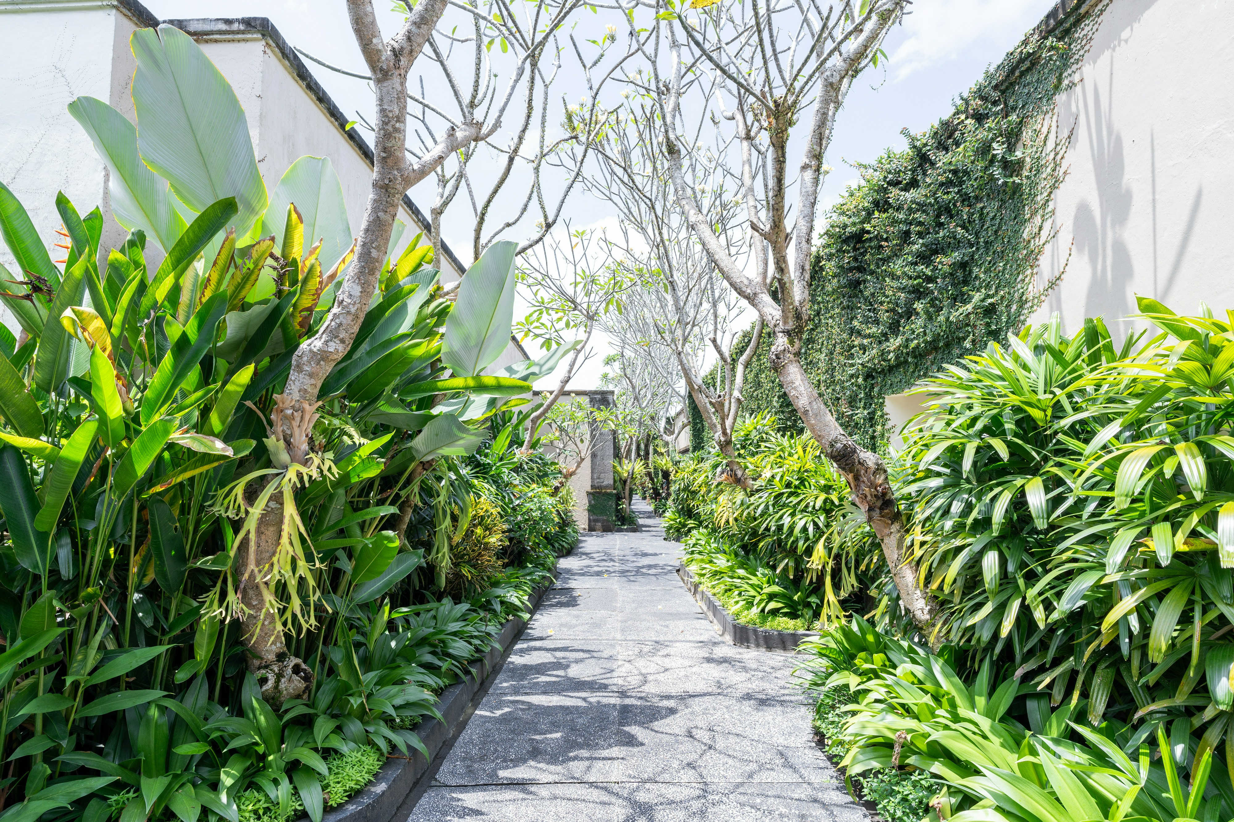 Others 5, Alam Puisi Villa Ubud, Gianyar