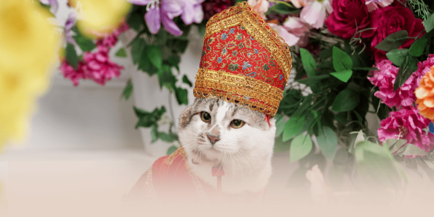 Hotel Pet Friendly Terbaik