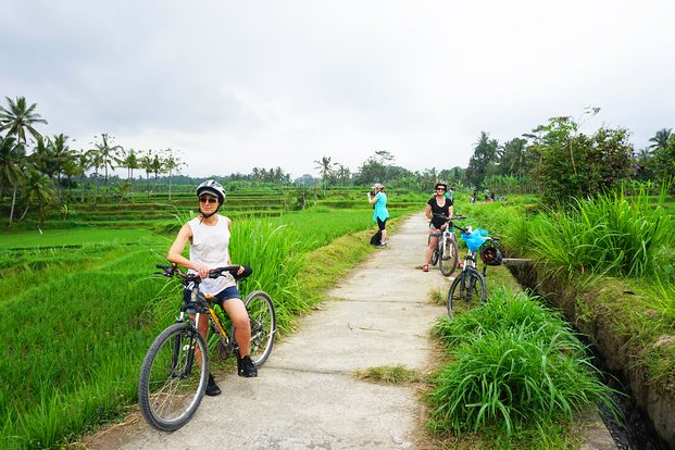 Ubud Electric Bike By Greenbike Adventure