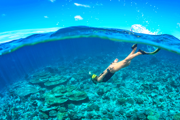 Underwater Walking and Snorkelling Experience