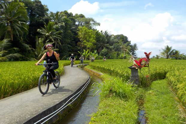 Ubud to Tegallalang Rice Terraces by eBikes Bali