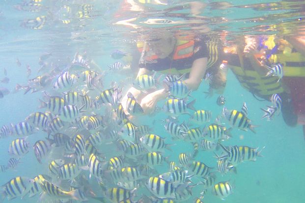 Gili Nanggu Snorkeling Trip by Anjani Tour