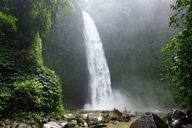 Nung Nung Waterfall Private Day Tour in Bali