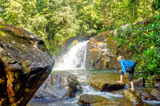 Sinharaja Forest Reserve Private Tour from Bentota andnSEDh