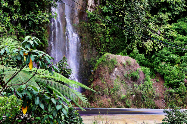 Evropada pishloqli porno ona