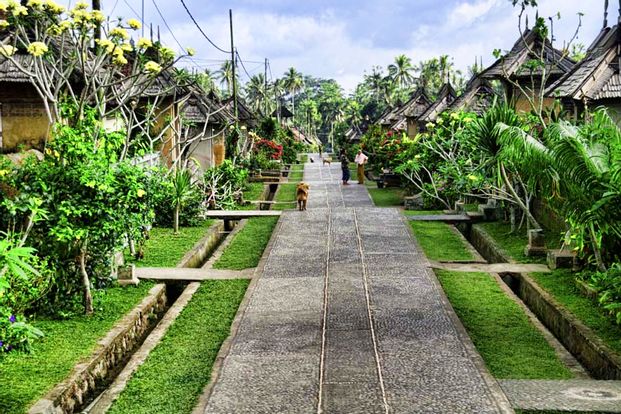 Amazing Kintamani – Penglipuran Tour by Bali Best Adventure
