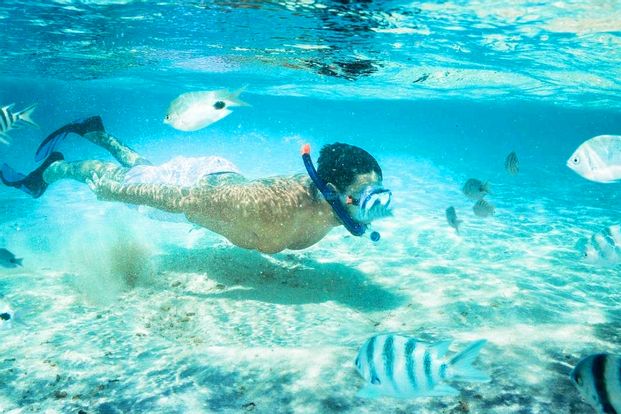 Blue Lagoon Snorkeling in Bali With Optional Sightseeing Gate of Heaven Tour