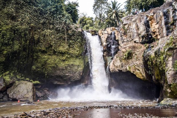Bali Ubud Tegenungan Waterfall, Butterfly Park, Monkey Forest, & Petulu Village Private Day Tour