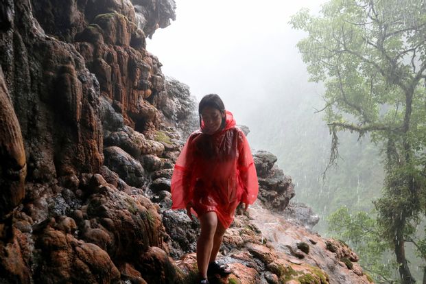 Tumpak Sewu Waterfall dan Kabut Pelangi - Tur 1 Hari Dari Malang