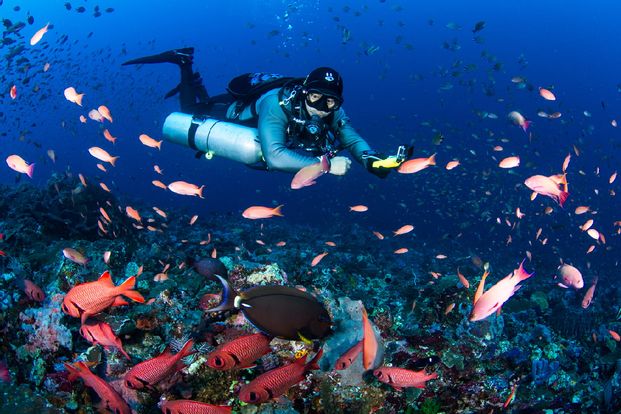 Scuba Diving Day Trip by iDive Komodo Indonesia