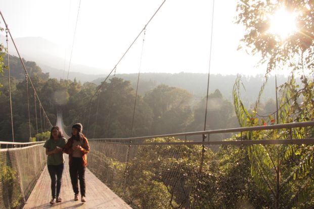 Suspension Bridge & Curug Sawer Waterfall Tour from Bandung