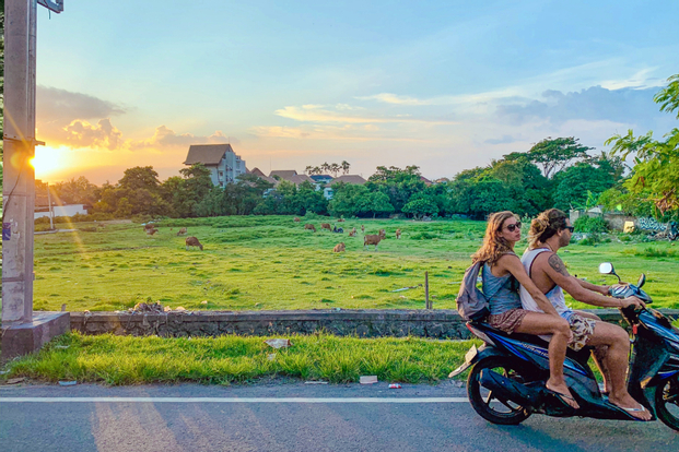 Bali Scooter Sightseeing Tour - Full Day