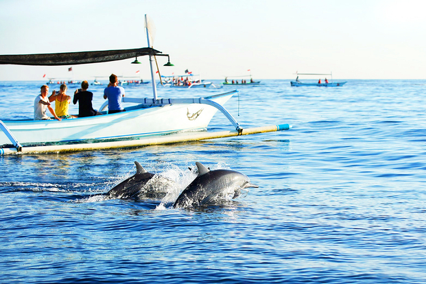 Dolphin tour by Pandan Sari Water sport