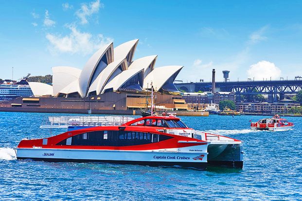 Sydney Whale Watching Cruise by Captain Cook