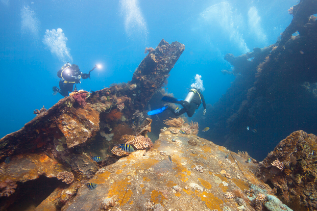 FD Tulamben 2x dives (min 4 pax) by Bali Aqua Dive Center