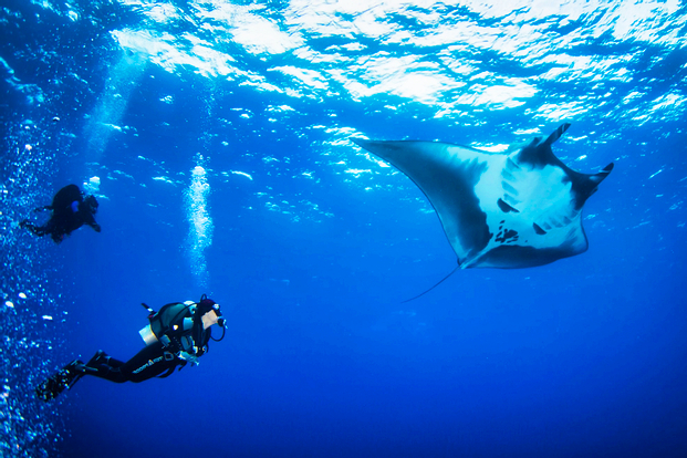 Try Scuba Nusa Penida 2x dives (min 4 pax) by Bali Aqua Dive Center