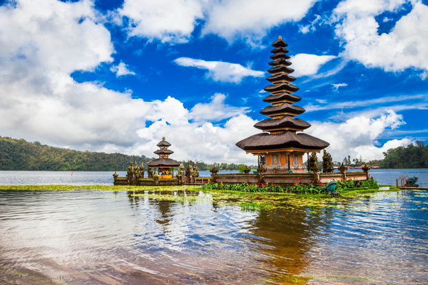 Bali Dolphin Watching and Ulun Danu Temple Private Day Trip