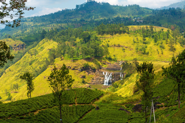Private Cameron Highlands Nature Discovery Tour from Kuala Lumpur fbL47Lv7
