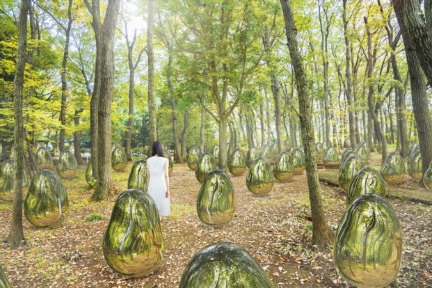teamLab：Resonating Life in the Acorn Forest Ticket in Tokorozawa