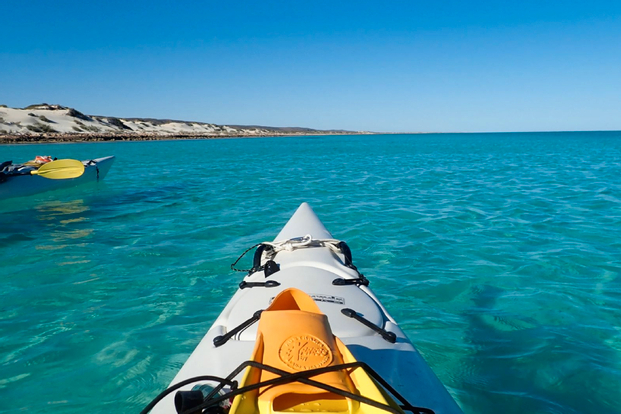 Sydney Middle Harbour Single Deluxe Kayak Hire by Sydney Harbour Kayaks