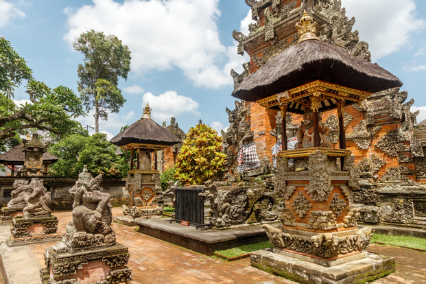 Real Bali Swing & Ubud Small Group Tour - Full Day
