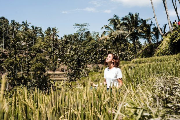 Real Bali Swing & Ubud Small Group Tour - Full Day