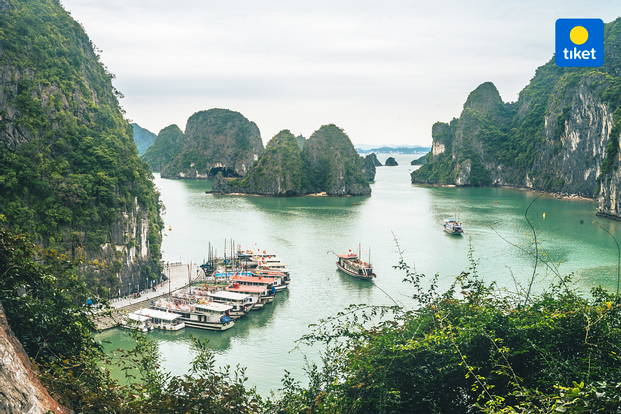 Otis Premium Day Cruise: Ha Long Bay, Sung Sot, Ti Top 0dx5RlPO