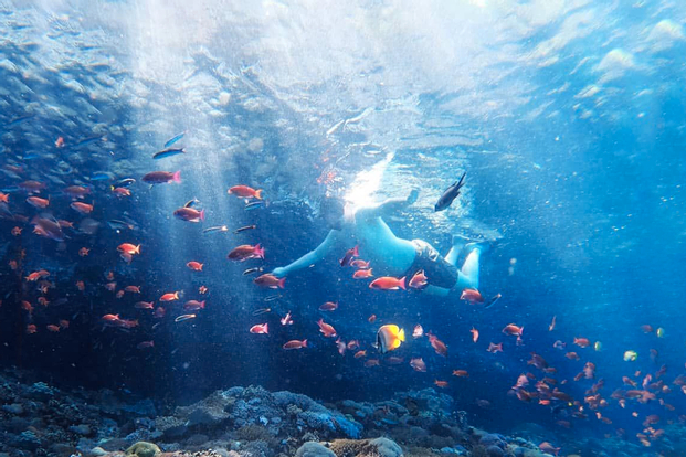 Nusa Penida Snorkeling Safari by Caspla Bali Sea view