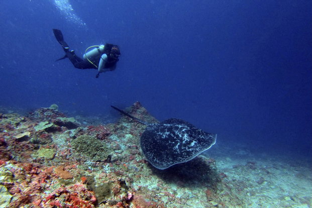 Diving at Nusa Penida by Caspla Bali Sea View