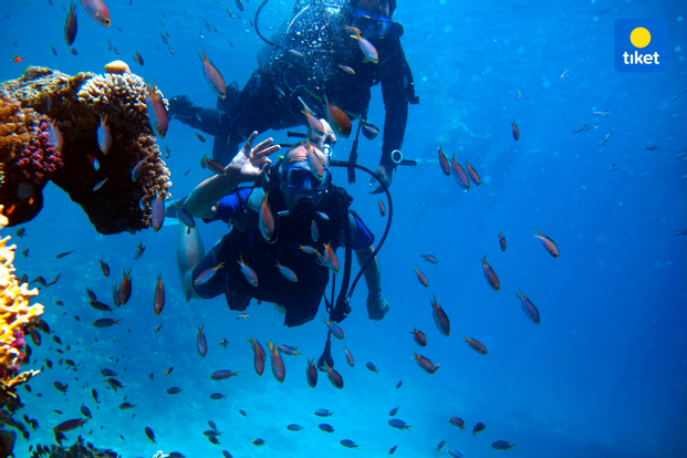 Discover Scuba Diving Experience in El Nido