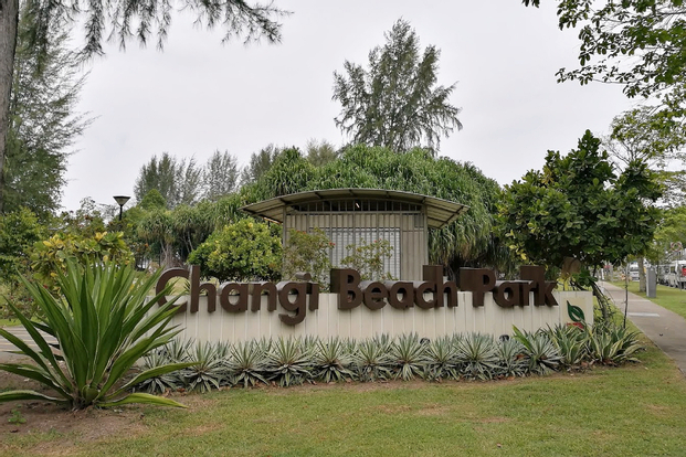 Changi Point Beach Park and Kelong Deluxe Seafood Lunch Tour