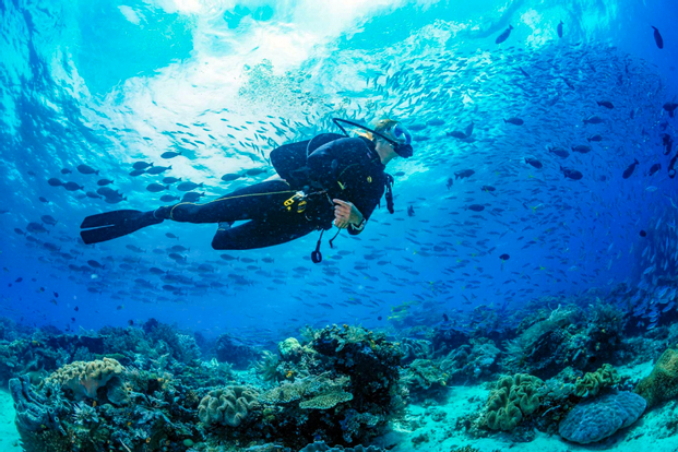 Fun Dives in Boracay