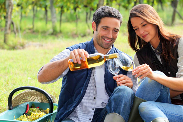 Hunter Valley Full Day Private Car Charter from Sydney City