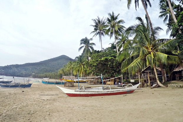 Nagtabon Beach or Talaudyong Beach Private Car Charter for Puerto Princesa
