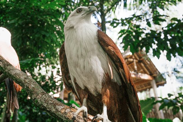 Lombok Wildlife Park (Untuk Wisatawan Domestik Pemilik KTP dan KITAS)