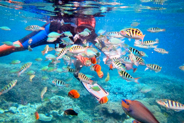 Blue Lagoon Snorkeling by Bali Sun Tours