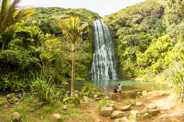 Auckland Coast and Rainforest Day Tour cZQcjEXM