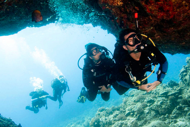 Diving Experience in Tulamben, Amed, Padang Bai, Gili Tepekong, or Nusa Penida For Certified Divers by Bali Aqua Dive