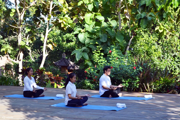 Day Pass and Wellness Yoga with Lunch at Plataran Canggu