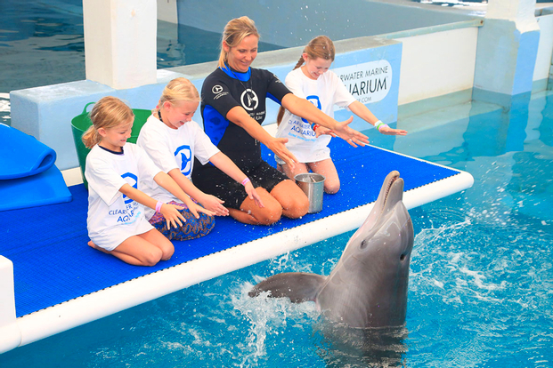 Clearwater Marine Aquarium Ticket hoBx7xOX