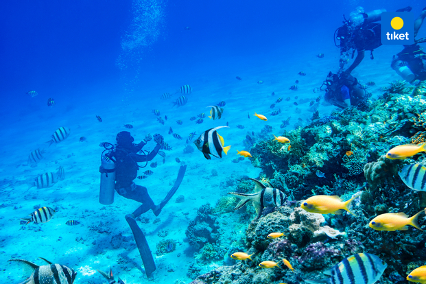 Scuba, Fun Diving and Open Water Course Experience in Nusa Penida