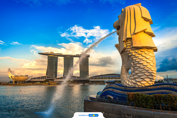 Singapore Historical Tour with Tea and Dinner LckCppxa