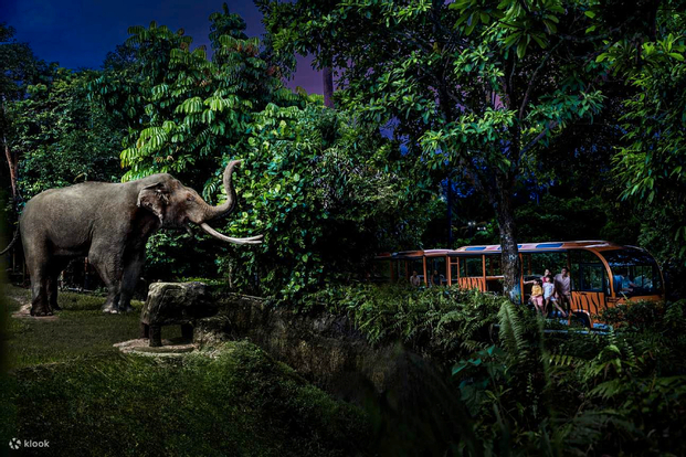 2-in-1 Park Hopper: Singapore Night Safari + River Wonders