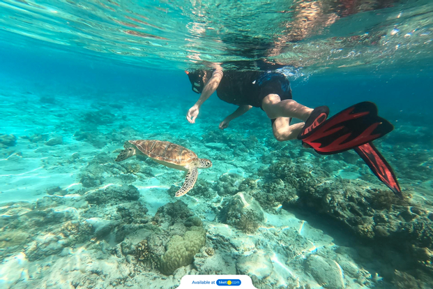 Snorkeling in Menjangan Marine Park by Dive Concepts Bali