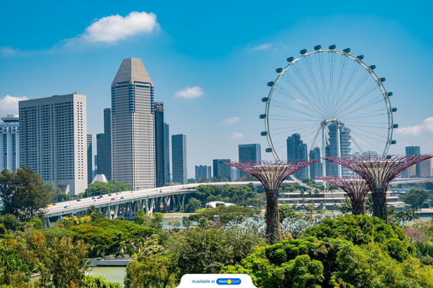 Singapore City Tour + Optional Gardens by the Bay / Singapore Flyer kwUaSKhh